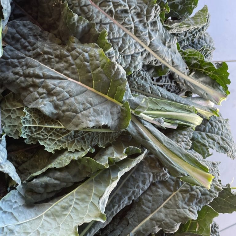 Da Ottobre a Febbraio