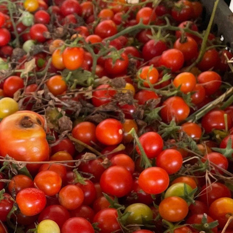 da Luglio a Settembre